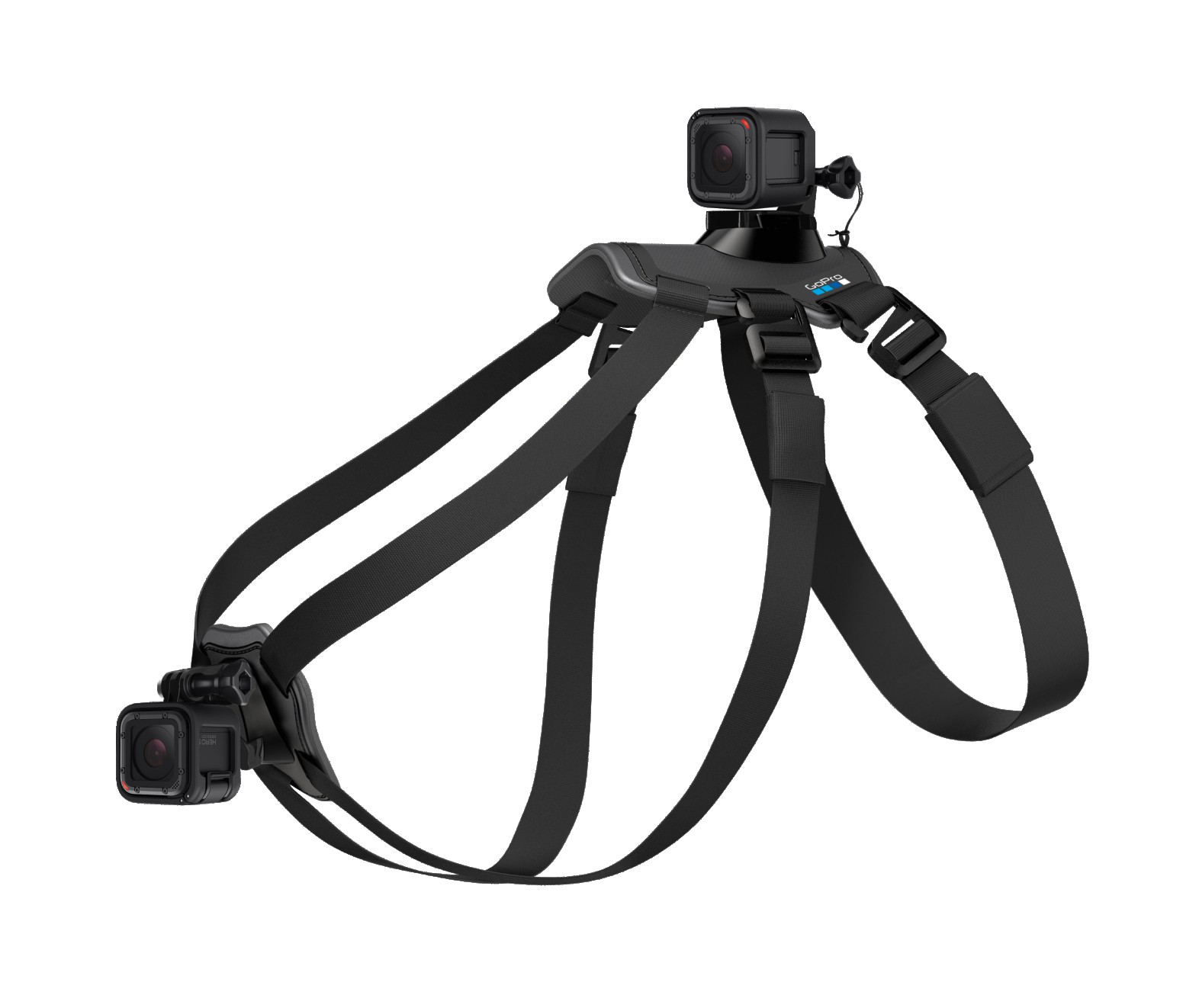 GoPro Fetch Dog Harness | GoPro Cameras | levelseven.nl